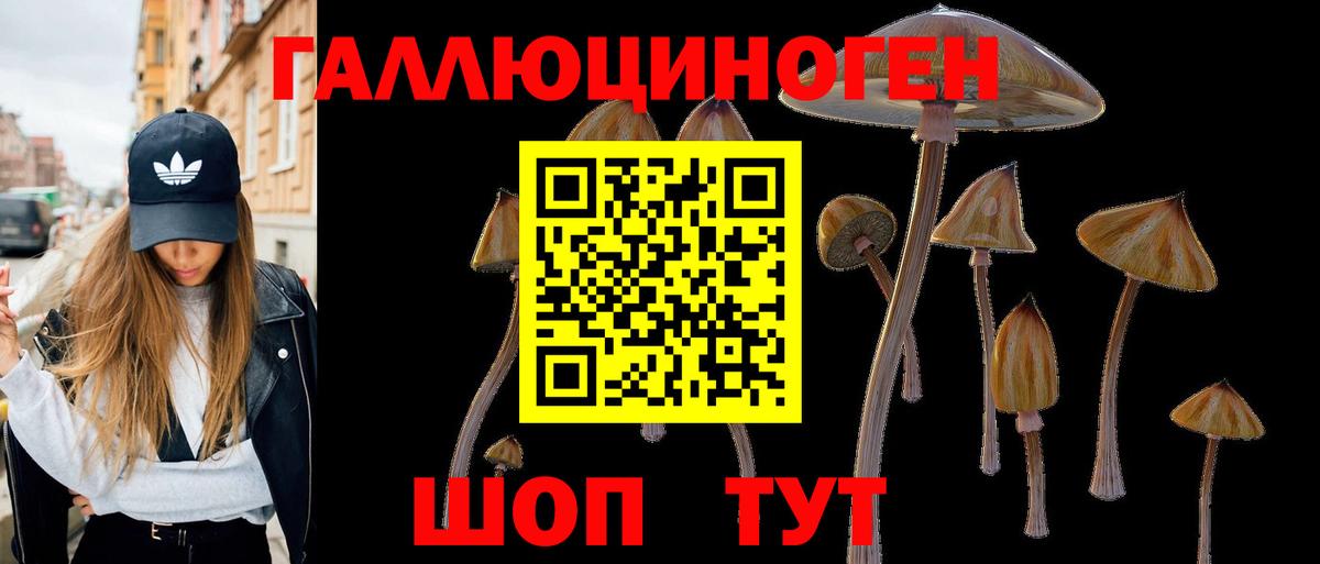 Псилоцибиновые грибы мухоморы  Вход с VPN  Лыткарино 